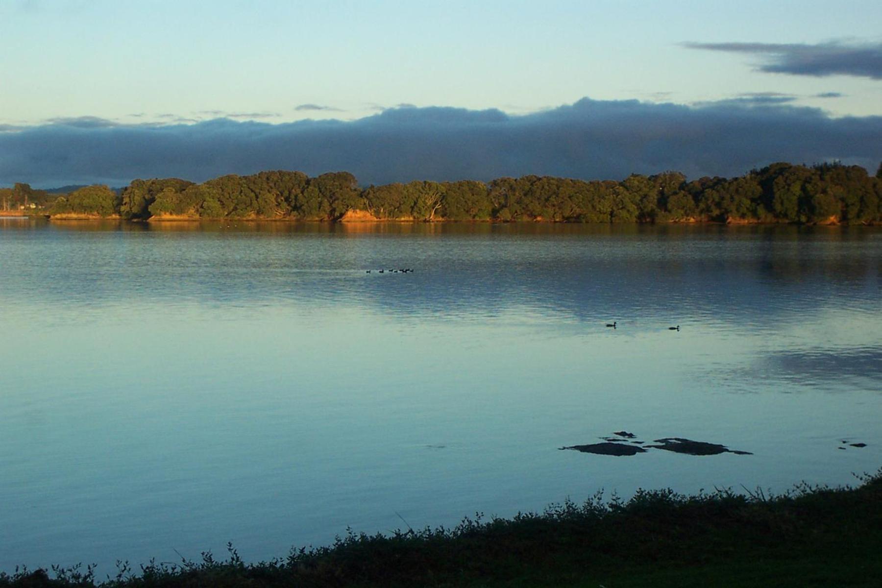 Absolute Waterfront Serenity Near Auckland Clarks Beach Dış mekan fotoğraf